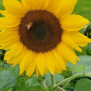 Meet your Posher, Lynne